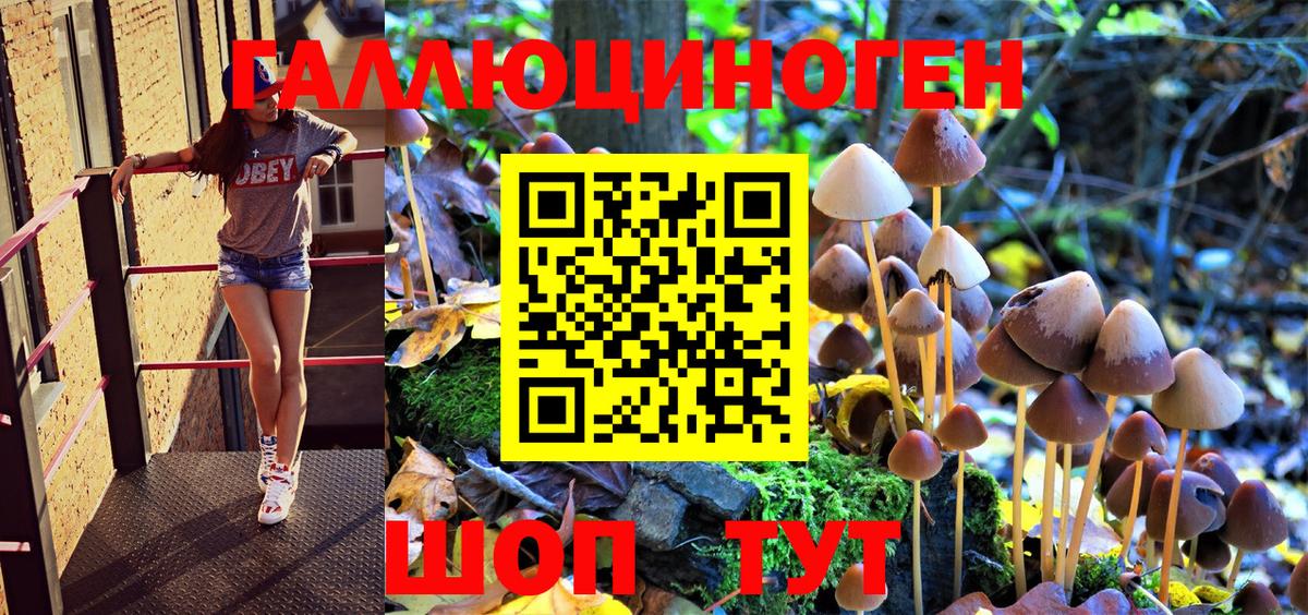Псилоцибиновые грибы MAGIC MUSHROOMS  Псилоцибиновые грибы Psilocybe  Среднеуральск  Вход с VPN 